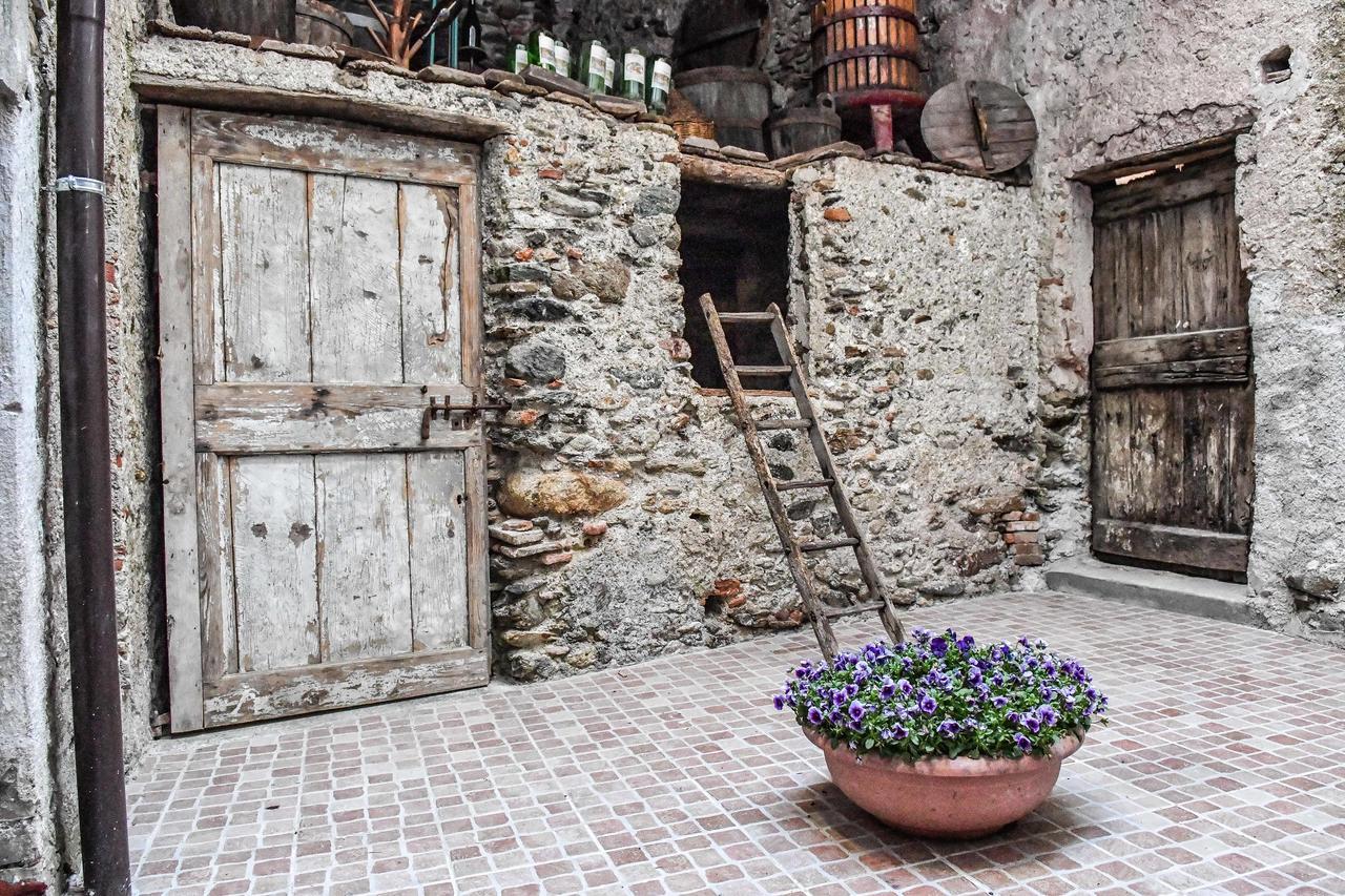 La Terra Di Mingo Bed & Breakfast Vado Ligure Ngoại thất bức ảnh